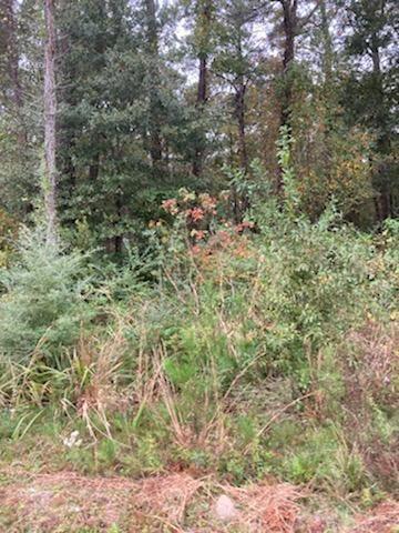 18625 E La 22 Hwy, Ponchatoula, LA 70454
