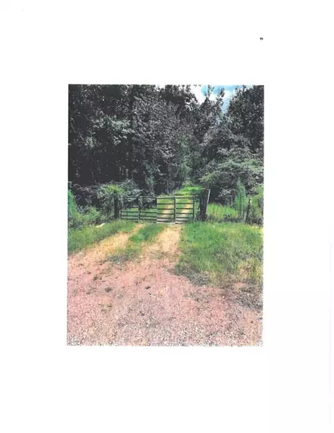 13450 E 442 Hwy, Tickfaw, LA 70466