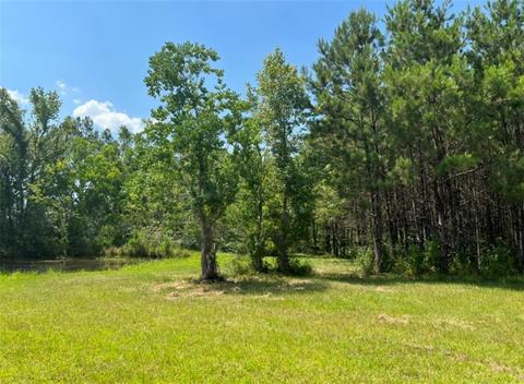 53087 Crossover Rd, Independence, LA 70443 photo 1