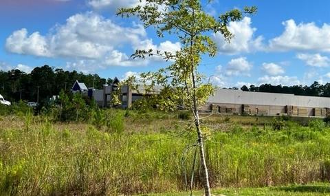 Highway 190 Highway, Covington, LA 70433 photo 5