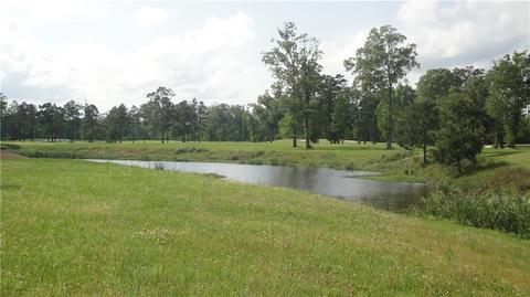 30636 Heron Vw, Springfield, LA 70462 photo 1