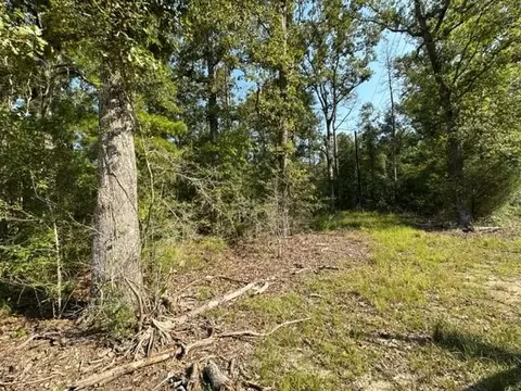 27445 Heritage Ln, Springfield, LA 70462 photo 1