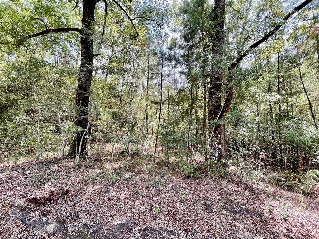 26188 Osceola Rd  
