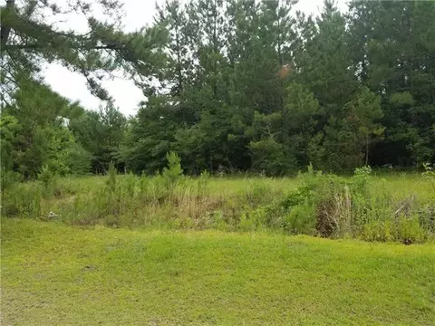 82397 Bush Vineyard Ln, Bush, LA 70431