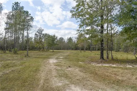 N Range Road, Livingston, LA 70754