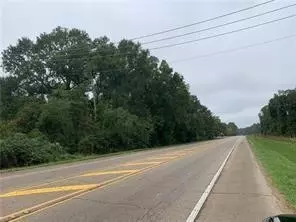 3 Louisiana 445, Robert, LA 70455 photo 8