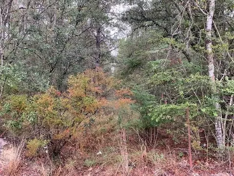 3 Louisiana 445, Robert, LA 70455 photo 2