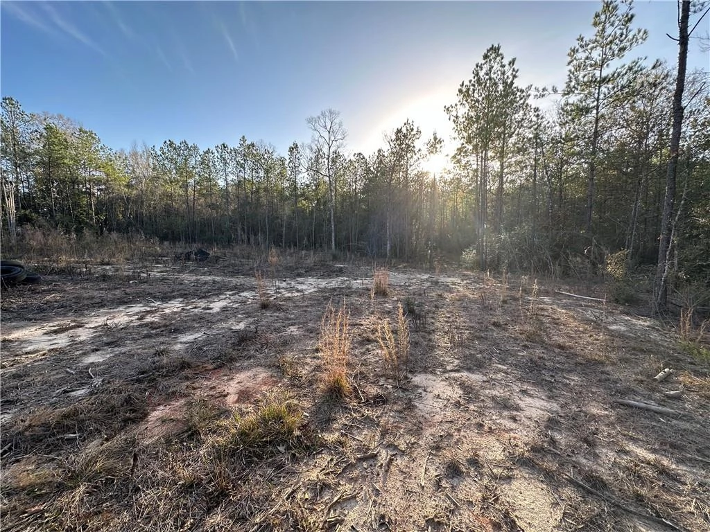 14 78 Acres Sidney Spell Rd
