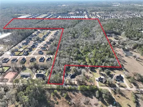 93 73 Acres Brown Rd, Ponchatoula, LA 70454