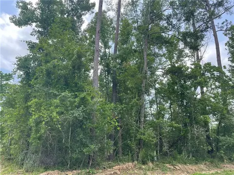 32576 Pontchatrain Dr, Springfield, LA 70462 photo 1