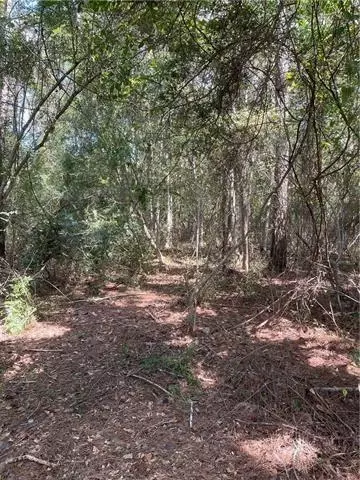 2648 W Hwy 190 Blvd, Slidell, LA 70460 photo 8