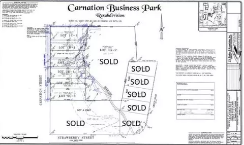 Carnation Street, Slidell, LA 70460 photo 2