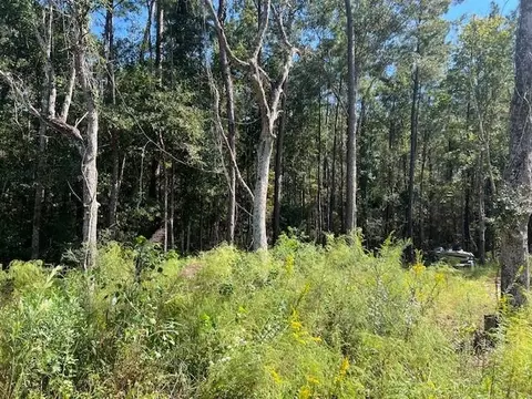 Mcmanus Road, Slidell, LA 70461 photo 4