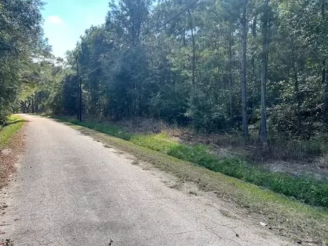 Mcmanus Road, Slidell, LA 70461 photo 3