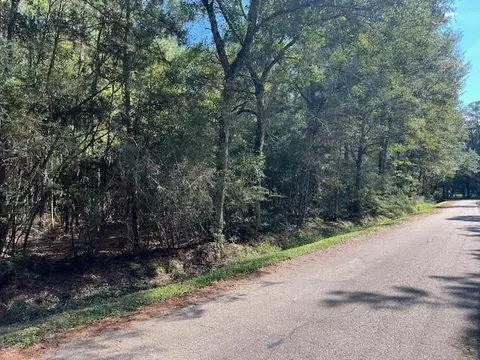 Mcmanus Road, Slidell, LA 70461 photo 2