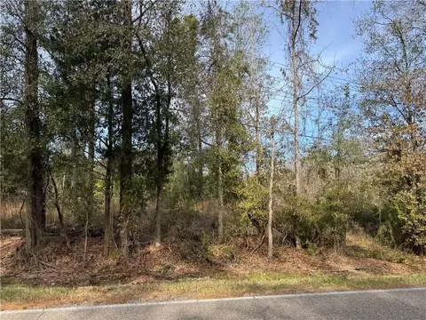 Hwy 36 Highway, Pearl River, LA 70452
