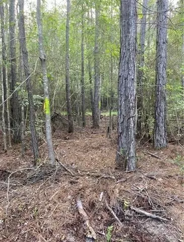 0 Henderson Rd, Covington, LA 70433 photo 3