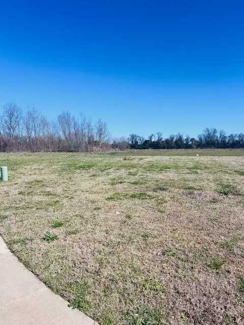 1336 Bonaire Trce, Alexandria, LA 71303