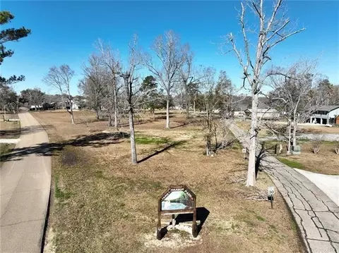 lot55 Swamp Dr, Springfield, LA 70462