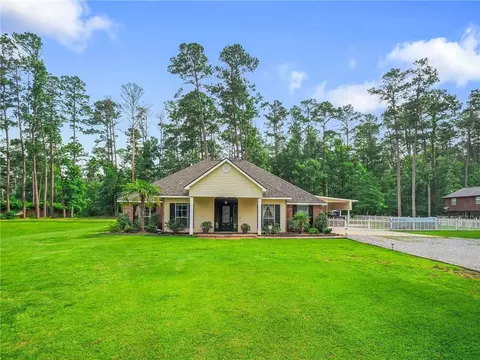 31501 River Pines Dr, Springfield, LA 70462 photo 1