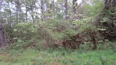 Camus Lane, Covington, LA 70435 photo 4
