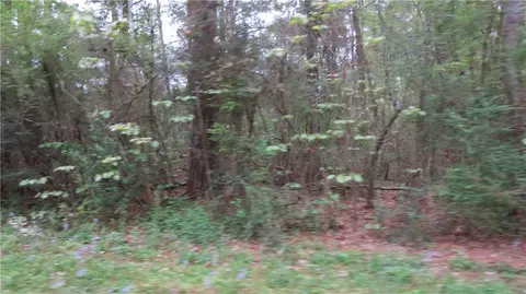 Camus Lane, Covington, LA 70435 photo 5