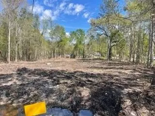 Carroll Street, Mandeville, LA 70448