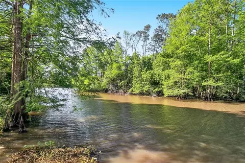 View/Area - 31814 River Pines Dr, Springfield, LA 70462 photo 1 of 3