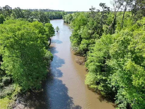 View/Area - 31814 River Pines Dr, Springfield, LA 70462 photo 2 of 3