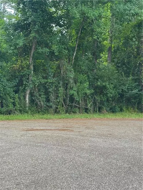 0000 Shady Ln, Tickfaw, LA 70466