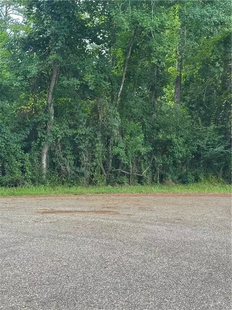 0000 Shady Ln, Tickfaw, LA 70466