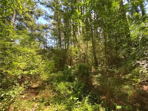 tbd Flamenco Rd, Amite, LA 70422