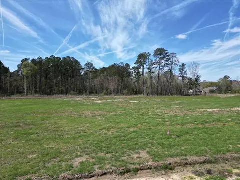 24755 Lot A-3 442 Hwy, Independence, LA 70443