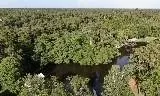 17515 Three Rivers Road, Covington, LA 70433 photo 2