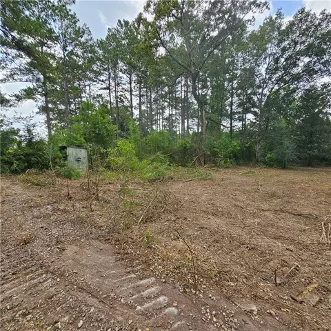 lot B - Vining Rd, Amite, LA 70422 photo 1