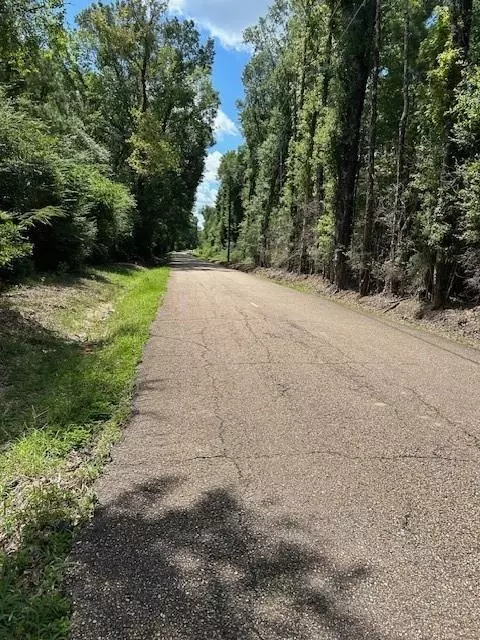 14181 E Russell Town Rd, Roseland, LA 70456