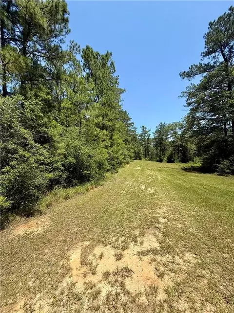 Tba Lake Choctaw Road, Franklinton, LA 70438