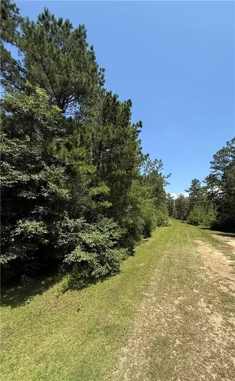 tbd Lake Choctaw Rd, Franklinton, LA 70438