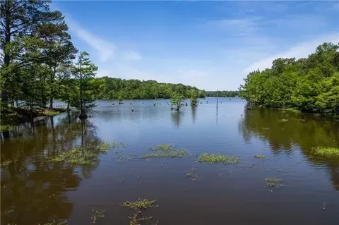 View/Area - 49 Ashton Rd, Boyce, LA 71409 photo 4 of 4
