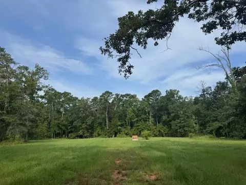 18163 Balfantz - 2 Acres 1 Rd, Springfield, LA 70462 photo 1