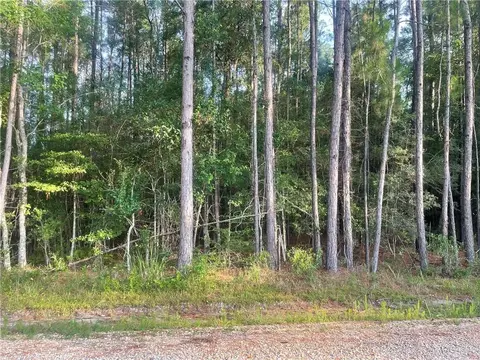 Worsham Drive, Abita Springs, LA 70420