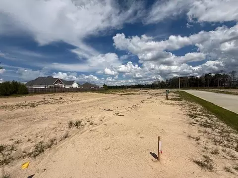 237 La Chenier Dr, Slidell, LA 70461 photo 5