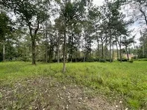 Rian Drive, Covington, LA 70435 photo 8