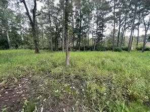 Rian Drive, Covington, LA 70435 photo 6