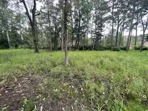 Rian Drive, Covington, LA 70435 photo 6