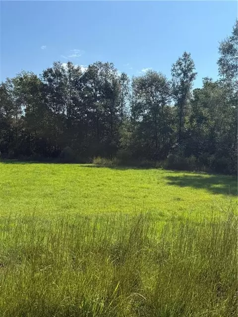 tbd Red Hill Rd, Independence, LA 70443 photo 1