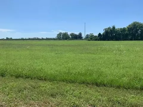 320 Farm Ln, Alexandria, LA 71303