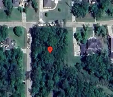 22 Tupelo Trce, Mandeville, LA 70471