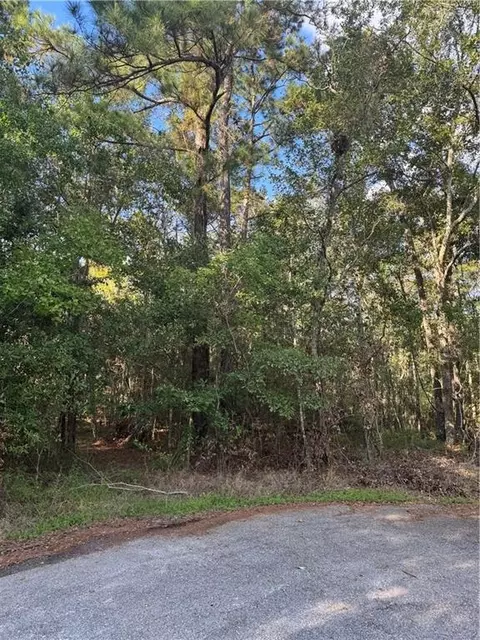 Section 16 Township 9 S West Pearl Drive, Slidell, LA 70461