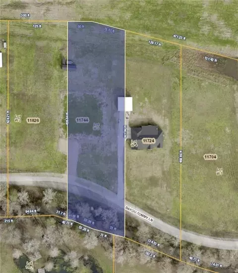 11744 Bayou Tommy Ln, Port Allen, LA 70767
